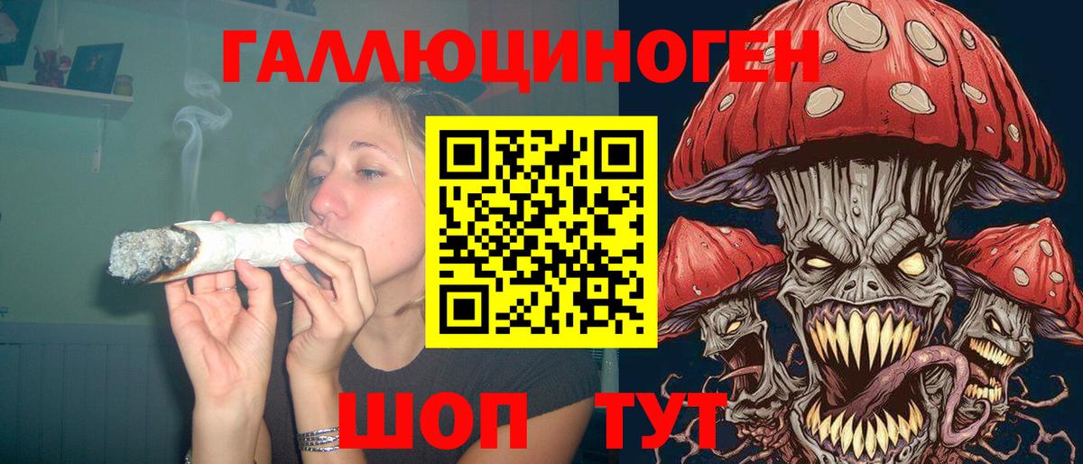Псилоцибиновые грибы Cubensis Кунгур