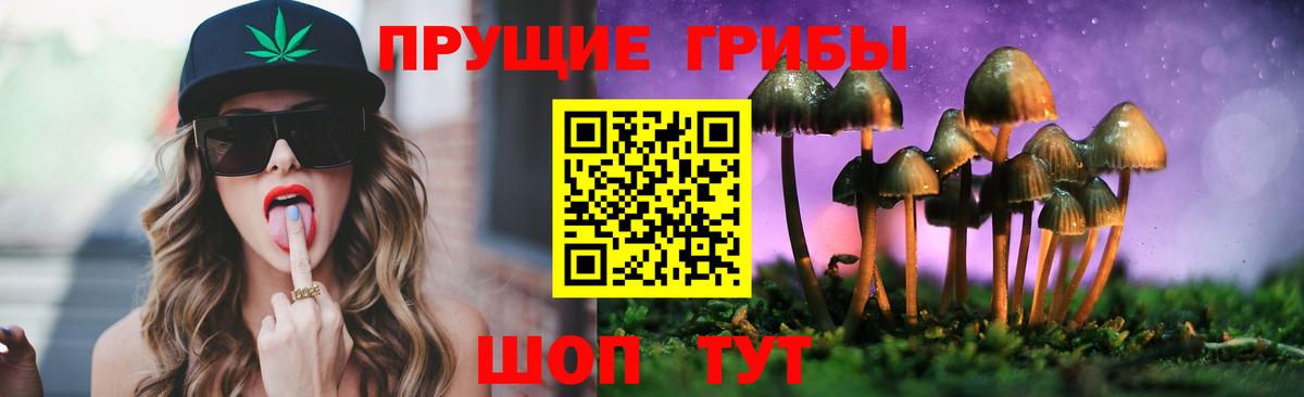 Кунгур  Псилоцибиновые грибы Magic Shrooms  Псилоцибиновые грибы Cubensis  Вход с VPN 